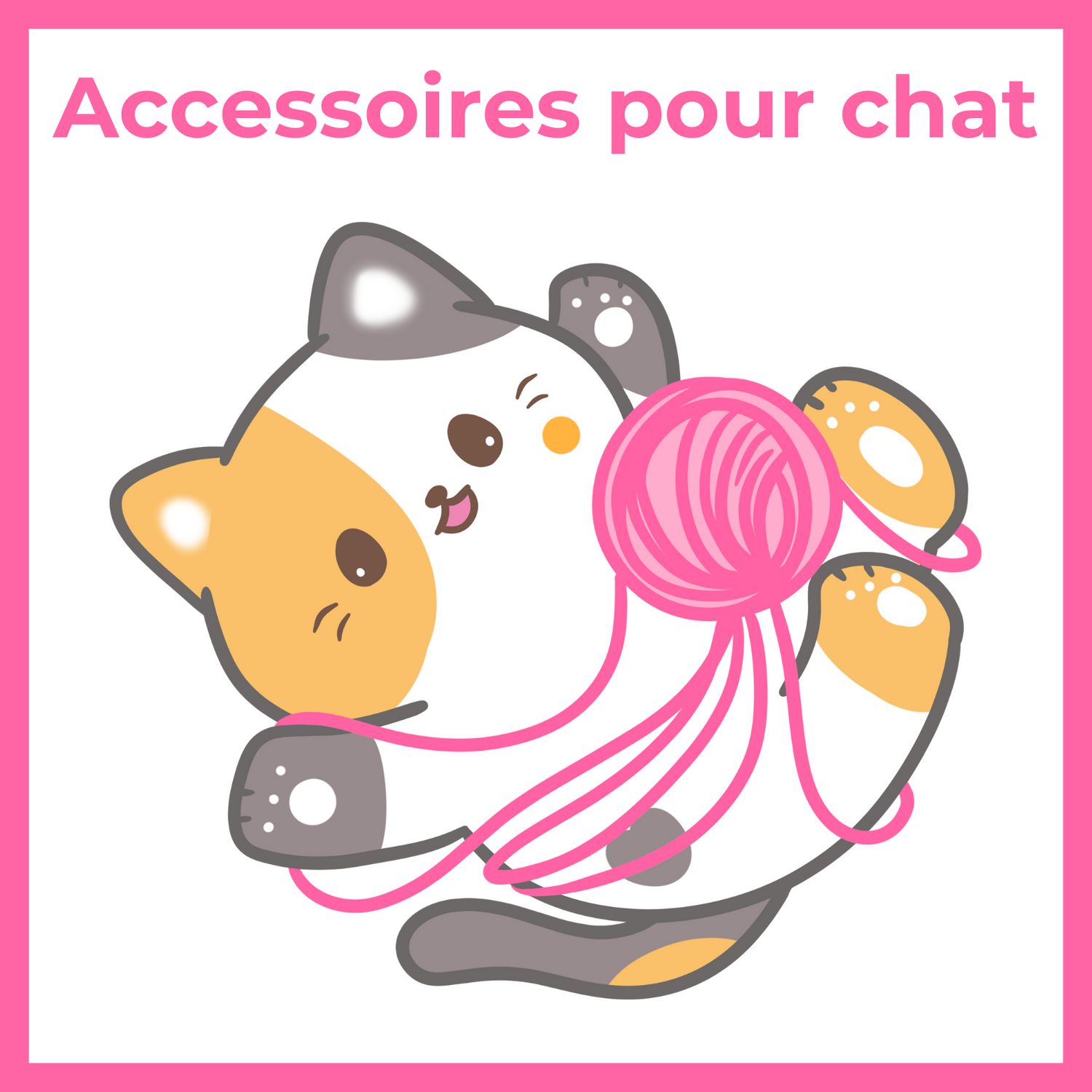 Accessoires chat