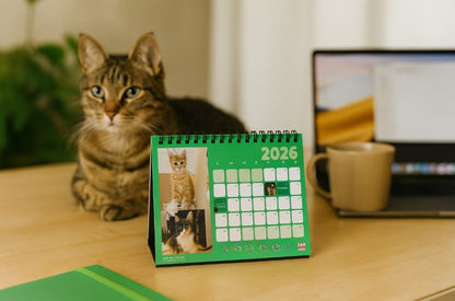 Prévente Calendrier de bureau 2026