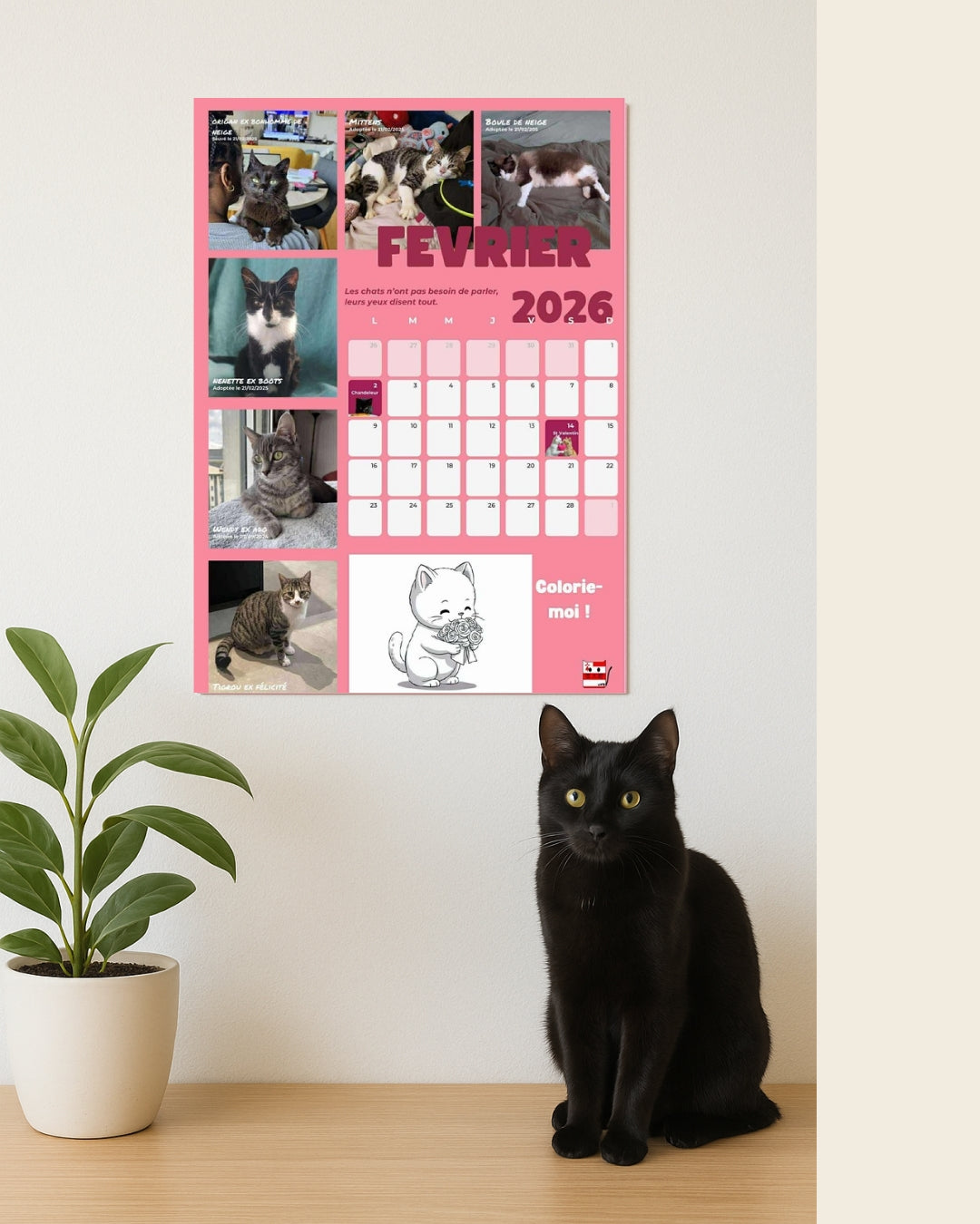 Prévente Calendrier mural 2026